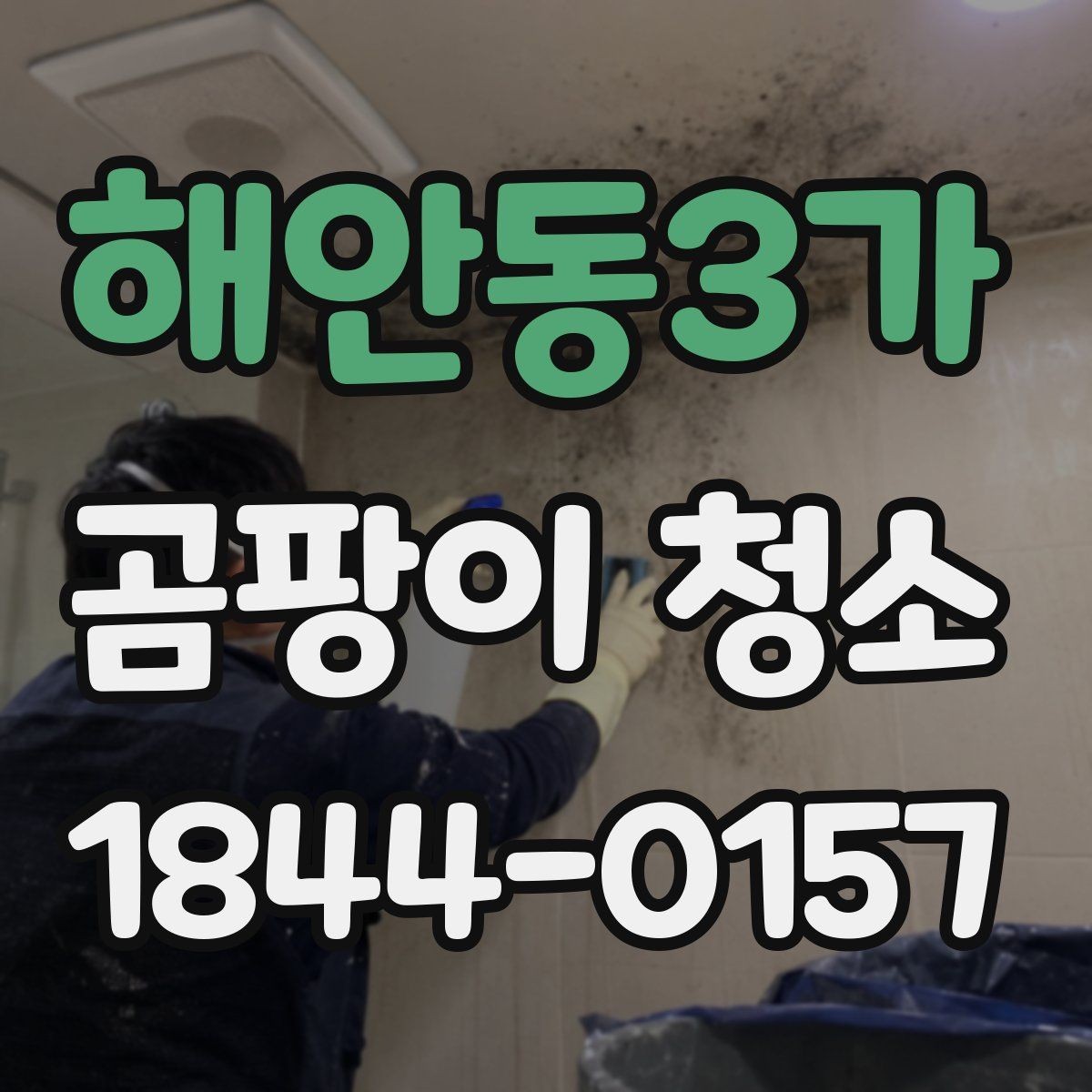 해안동3가 곰팡이 청소 벽지 얼룩이 오래 남는 이유를 살펴보기