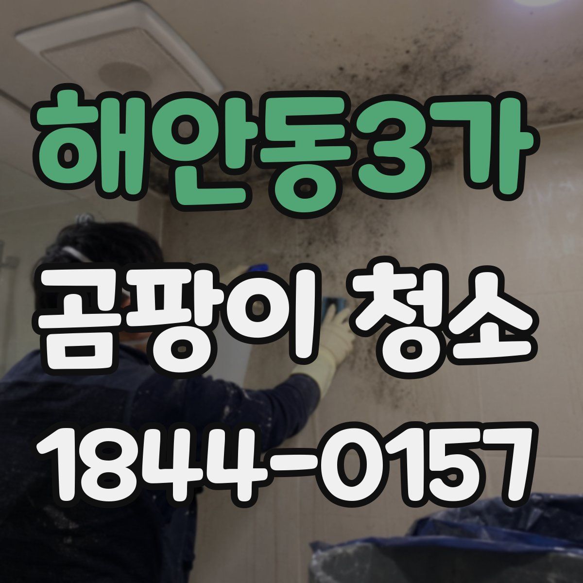 해안동3가 곰팡이 청소