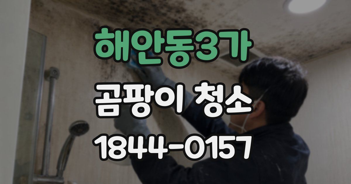 해안동3가 곰팡이 청소