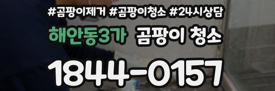 해안동3가 곰팡이 청소