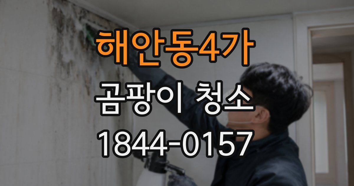 해안동4가 곰팡이 청소