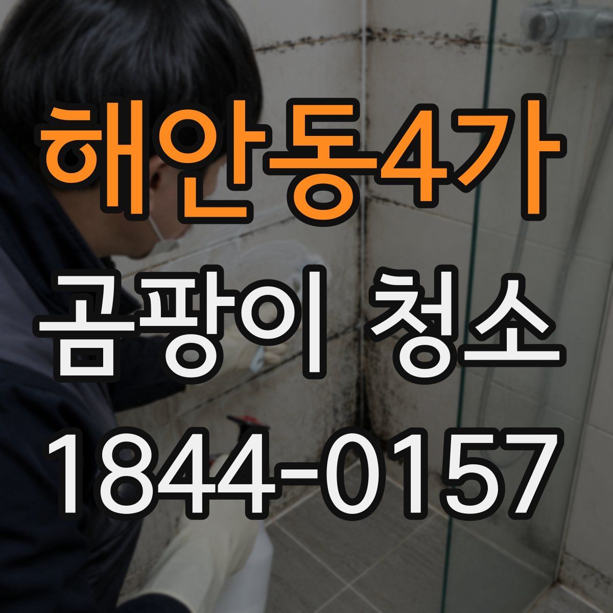 해안동4가 곰팡이 청소