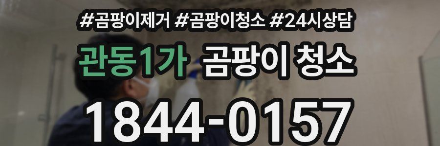 관동1가 곰팡이 청소