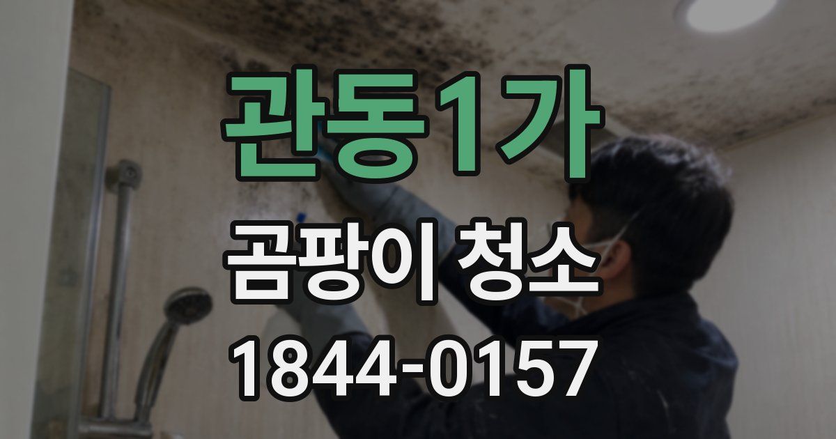 관동1가 곰팡이 청소