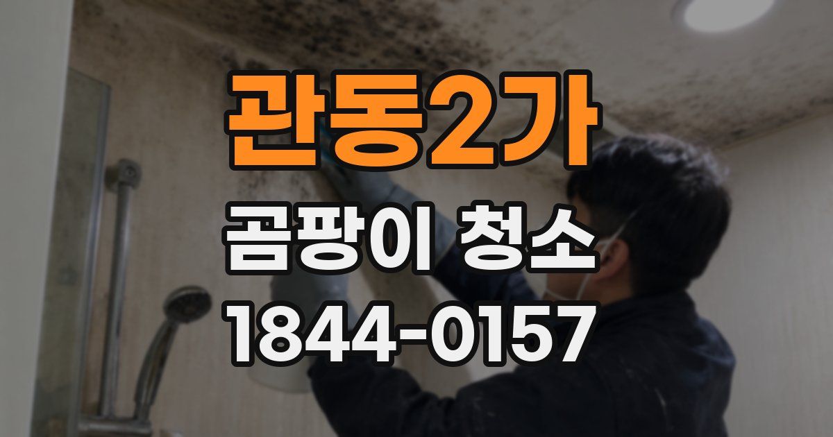 관동2가 곰팡이 청소