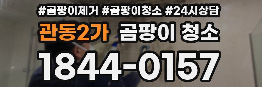 관동2가 곰팡이 청소