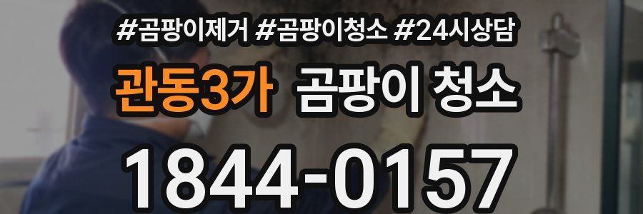 관동3가 곰팡이 청소
