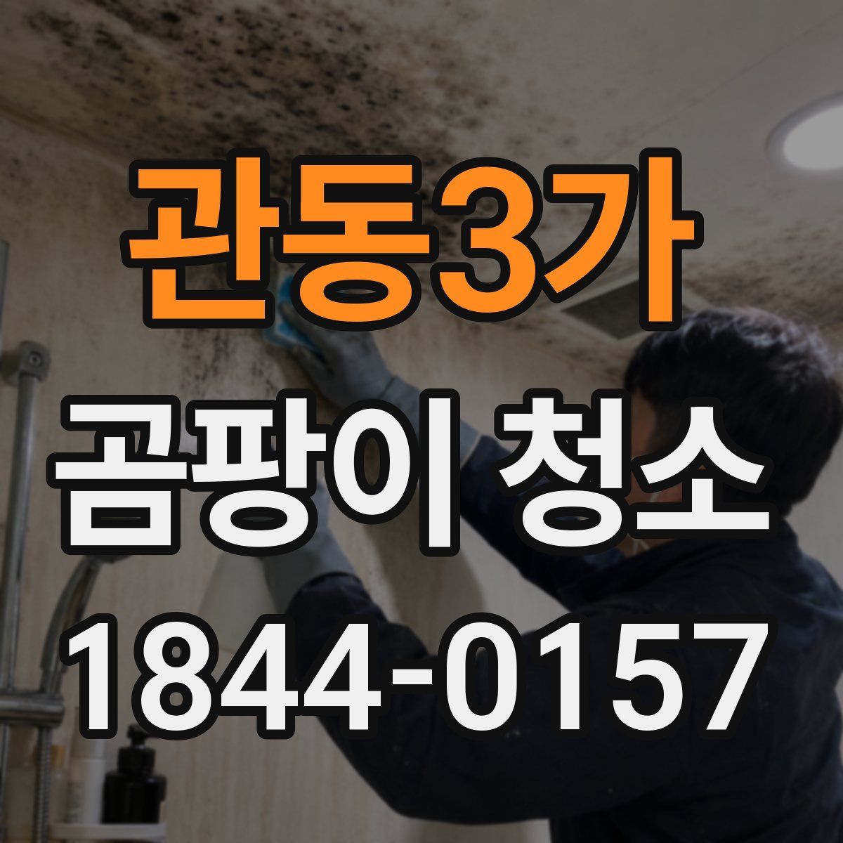 관동3가 곰팡이 청소