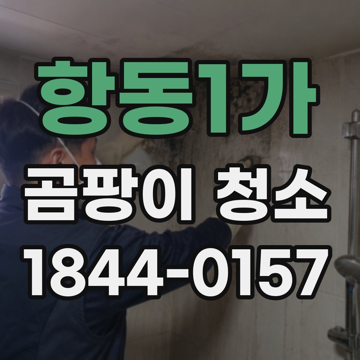 항동1가 곰팡이 청소