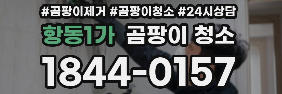 항동1가 곰팡이 청소