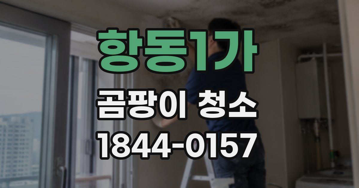 항동1가 곰팡이 청소