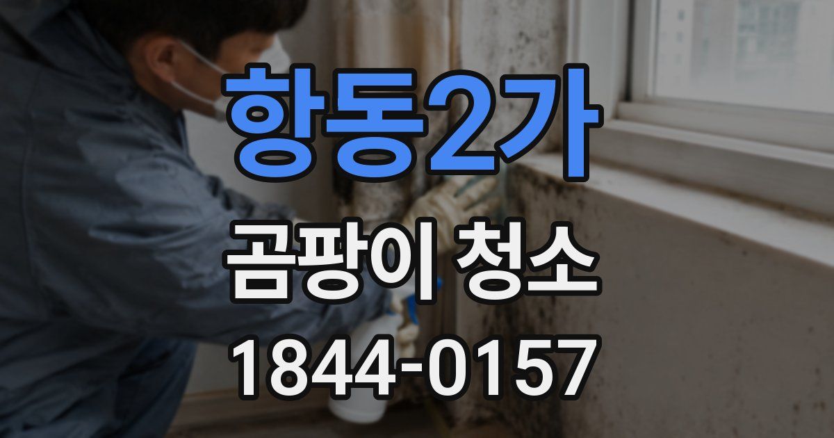 항동2가 곰팡이 청소