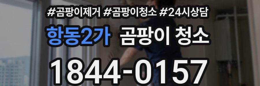 항동2가 곰팡이 청소