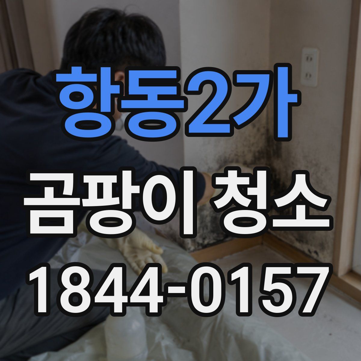 항동2가 곰팡이 청소