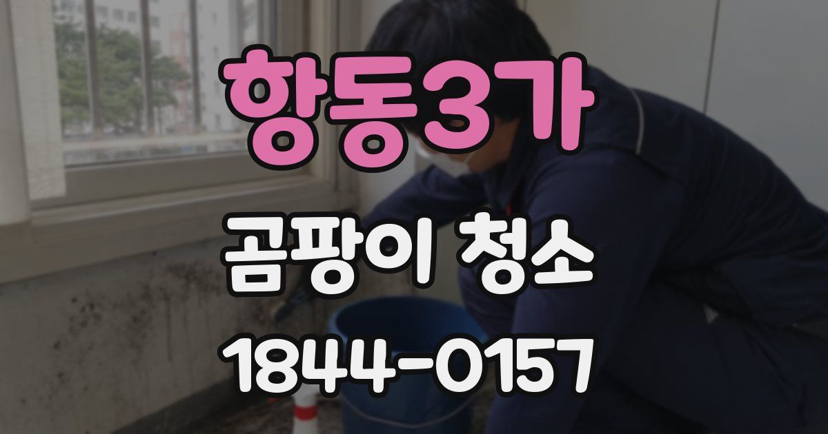 항동3가 곰팡이 청소