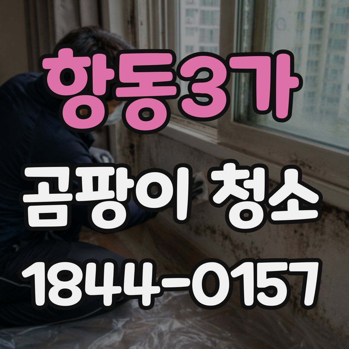 항동3가 곰팡이 청소