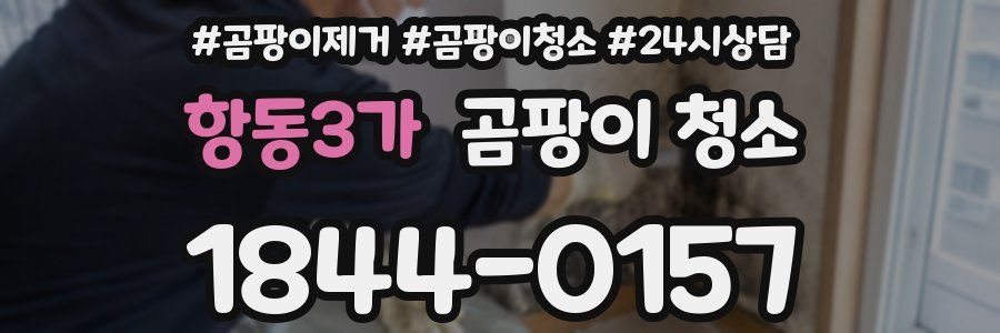 항동3가 곰팡이 청소