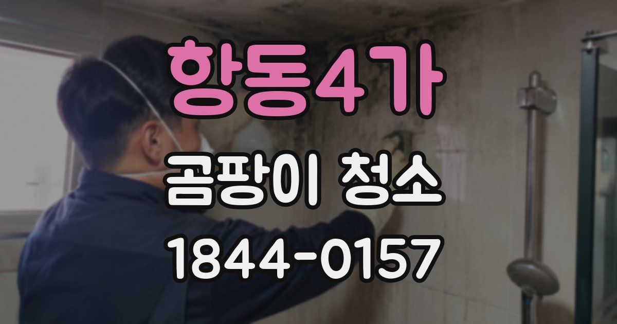 항동4가 곰팡이 청소