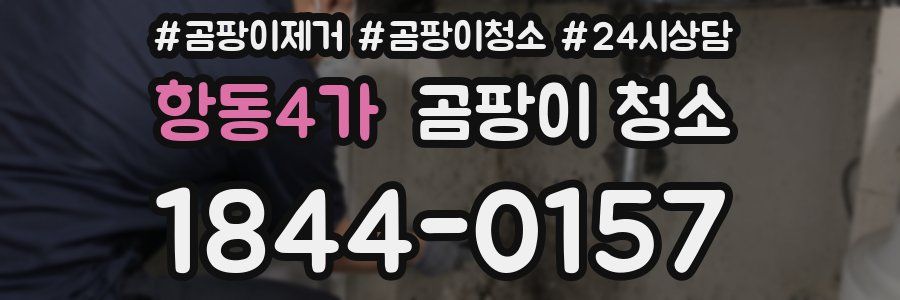 항동4가 곰팡이 청소