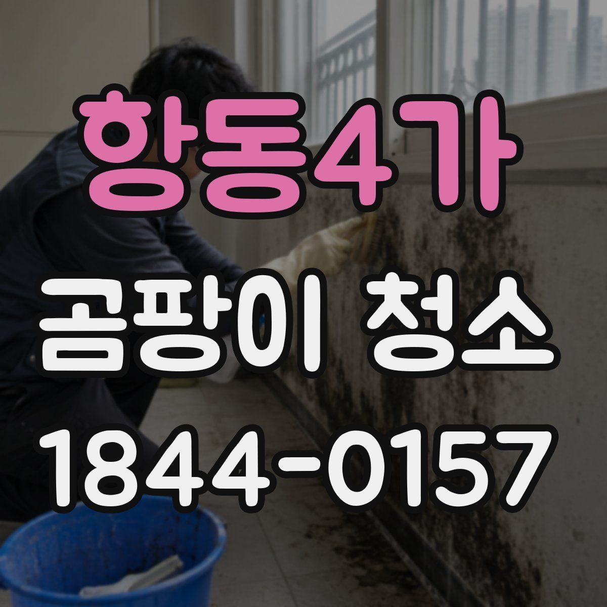 항동4가 곰팡이 청소
