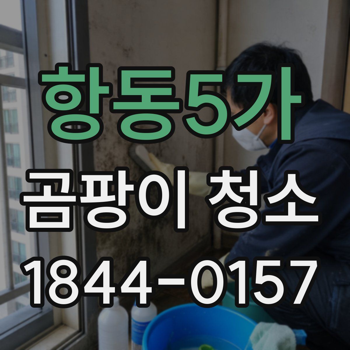항동5가 곰팡이 청소