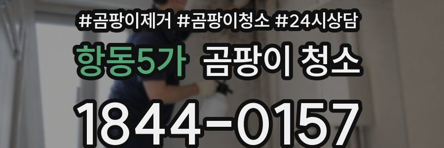 항동5가 곰팡이 청소