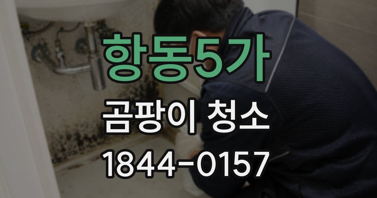 항동5가 곰팡이 청소