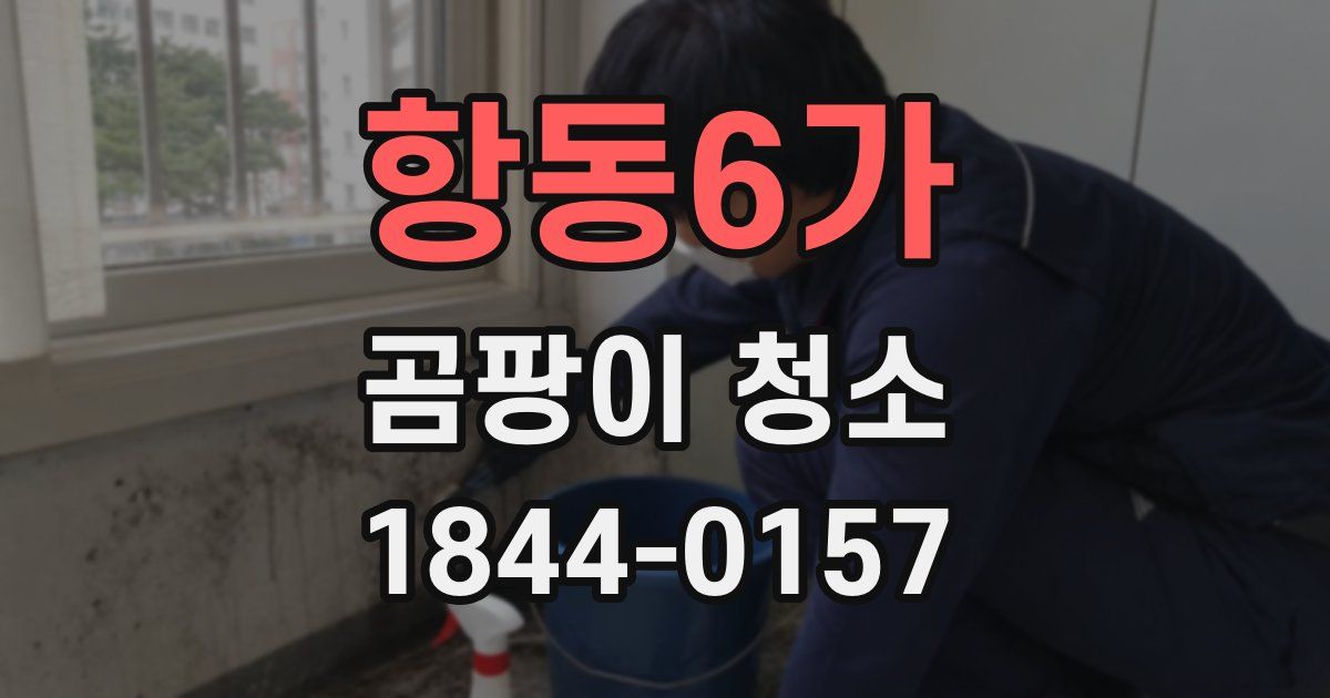 항동6가 곰팡이 청소