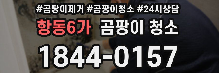 항동6가 곰팡이 청소