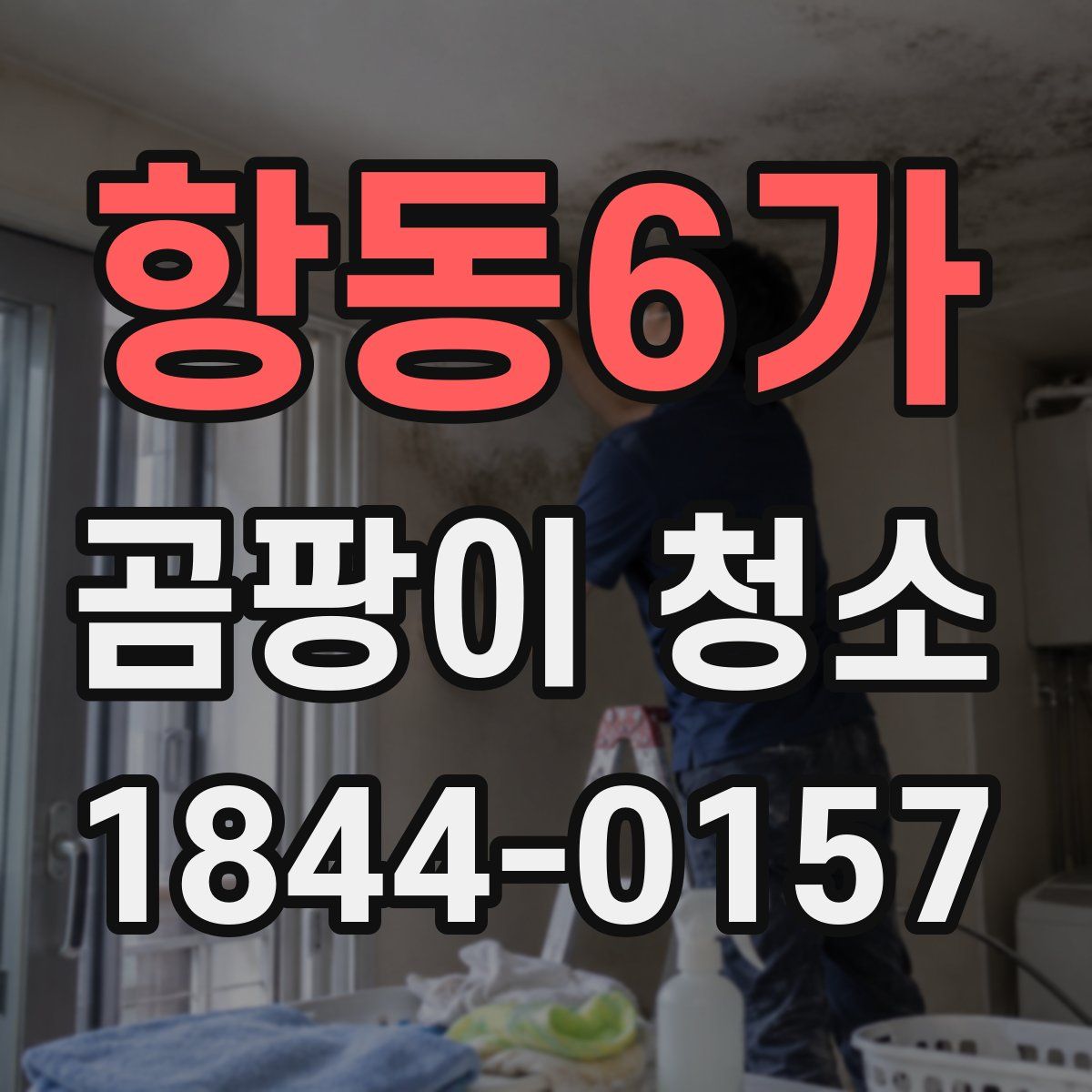 항동6가 곰팡이 청소