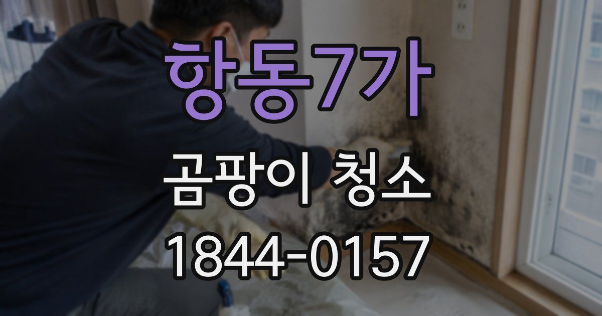 항동7가 곰팡이 청소