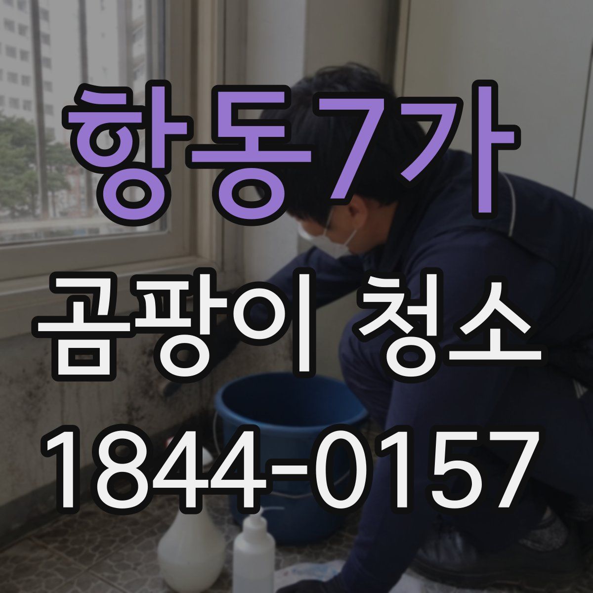 항동7가 곰팡이 청소