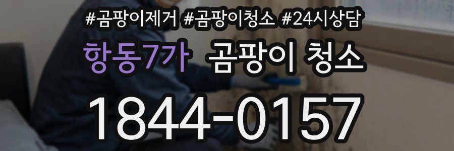 항동7가 곰팡이 청소