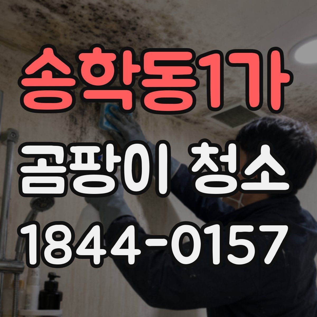 송학동1가 곰팡이 청소 반복 발생 구역을 나눠 보는 관리 방식