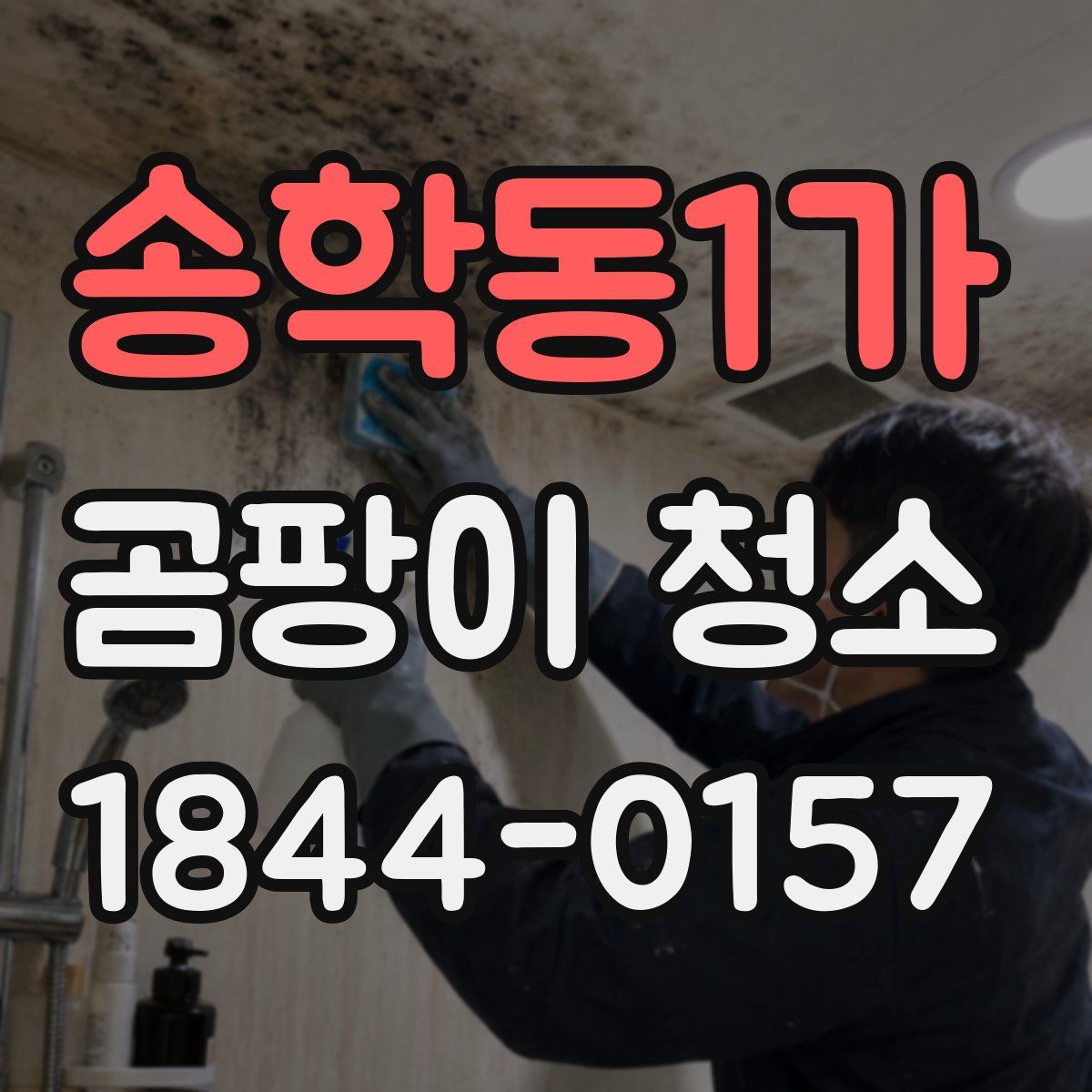 송학동1가 곰팡이 청소