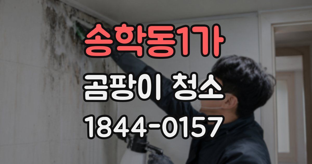 송학동1가 곰팡이 청소