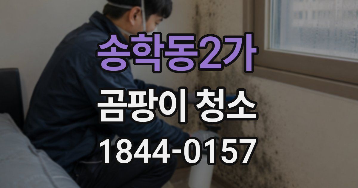 송학동2가 곰팡이 청소