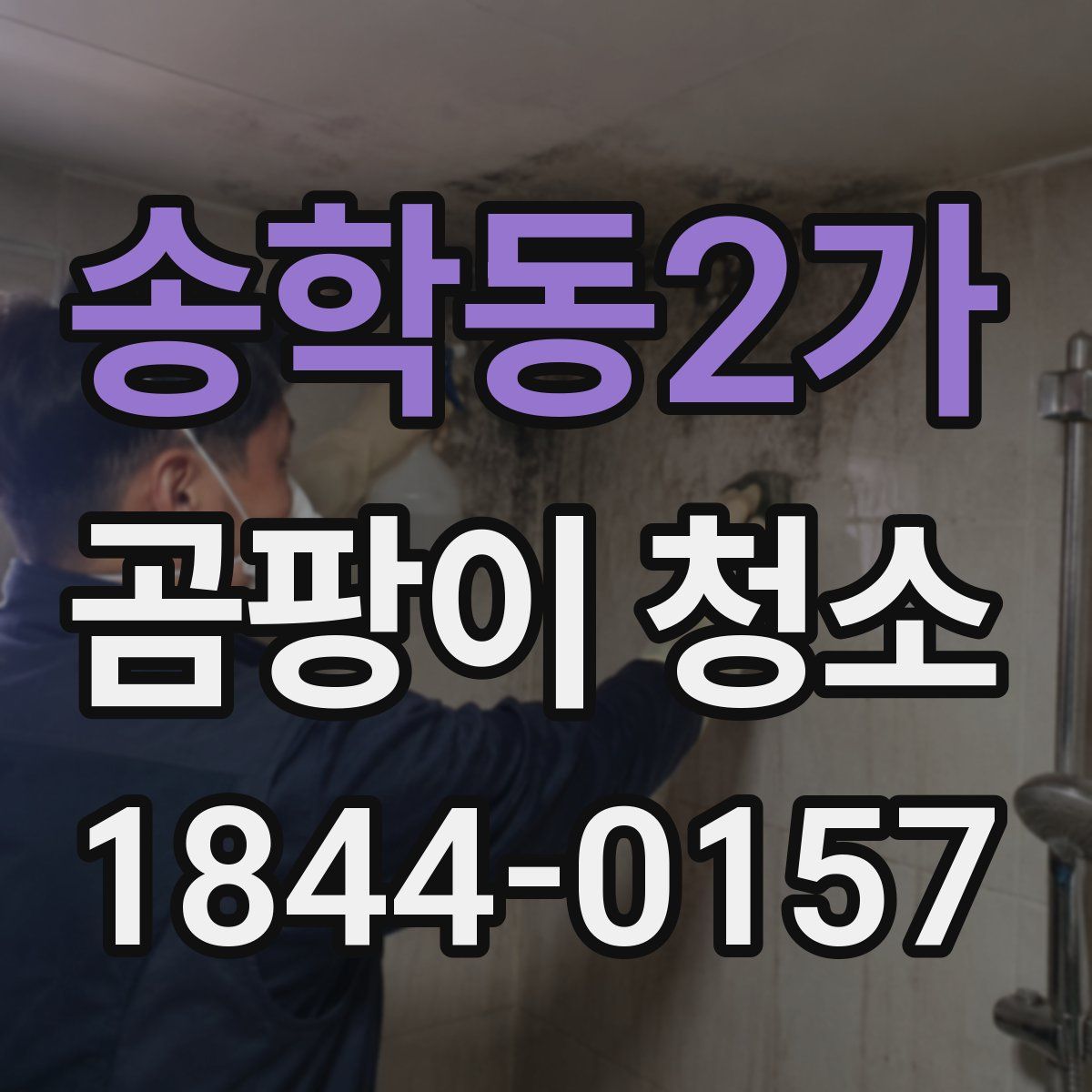 송학동2가 곰팡이 청소