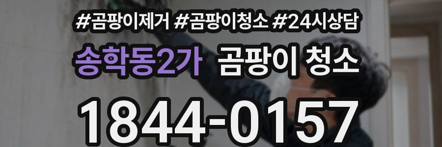 송학동2가 곰팡이 청소