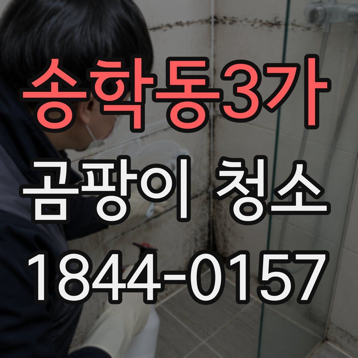 송학동3가 곰팡이 청소 전후를 기록해두면 좋은 이유와 활용법