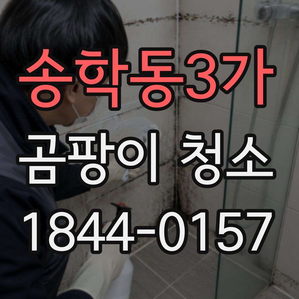 송학동3가 곰팡이 청소