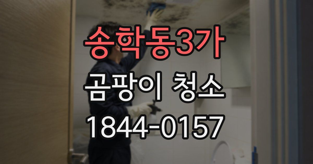 송학동3가 곰팡이 청소