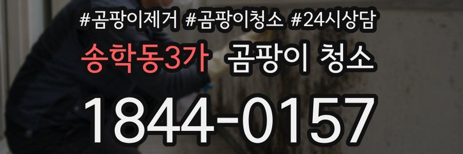 송학동3가 곰팡이 청소