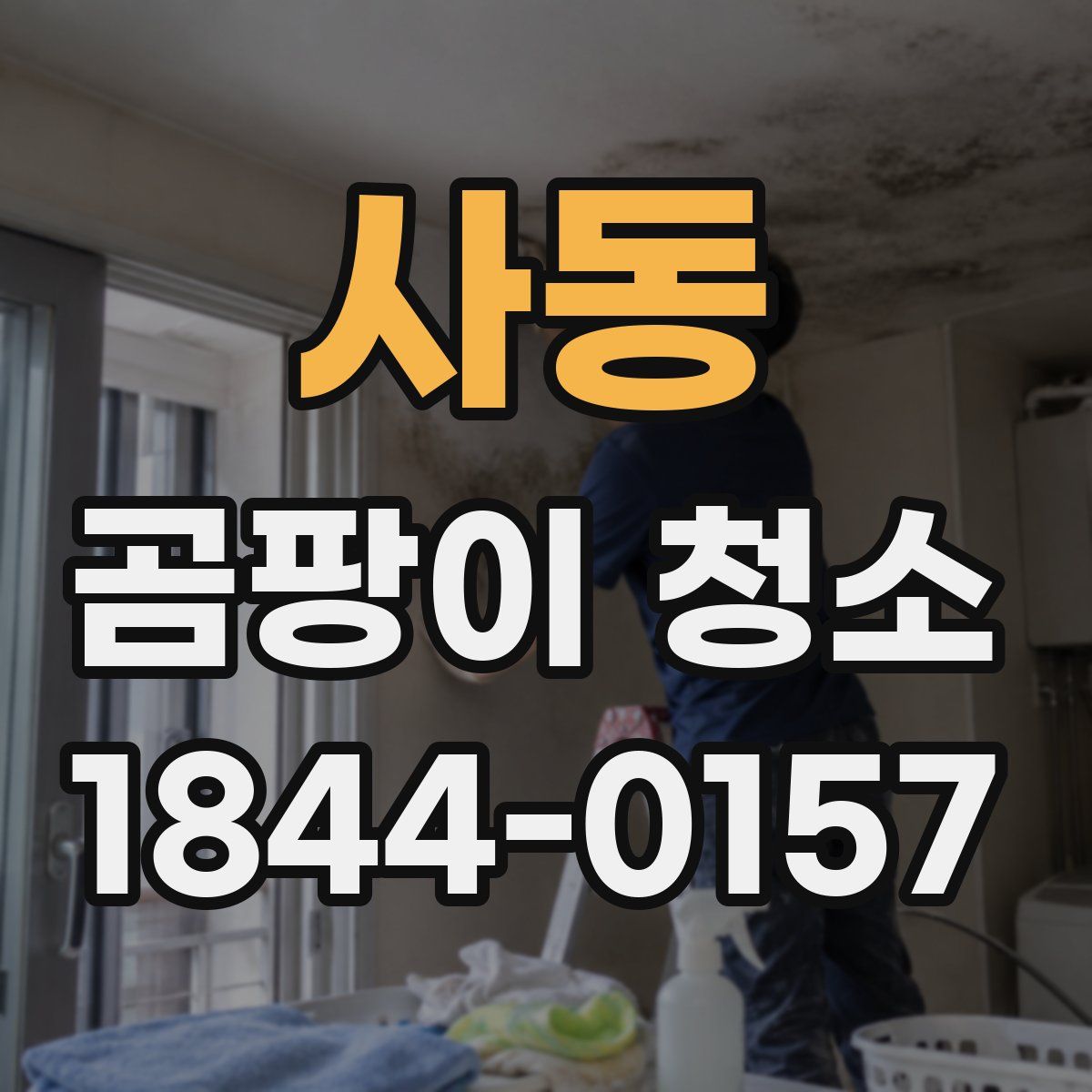 사동 곰팡이 청소