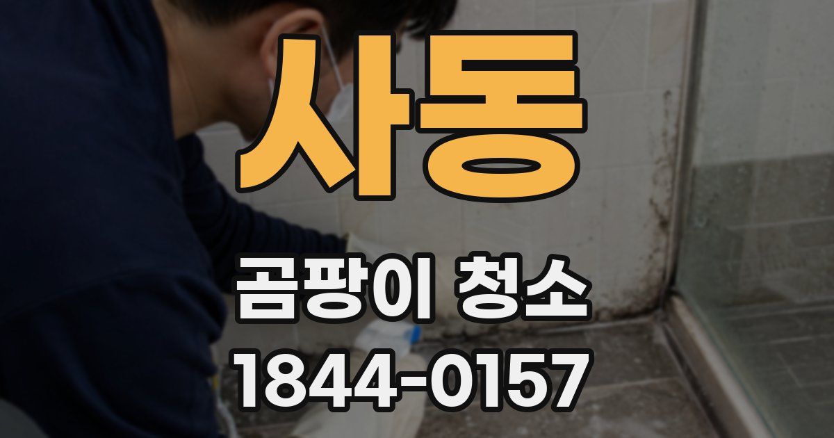 사동 곰팡이 청소