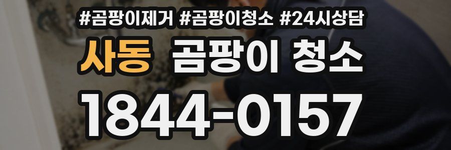 사동 곰팡이 청소