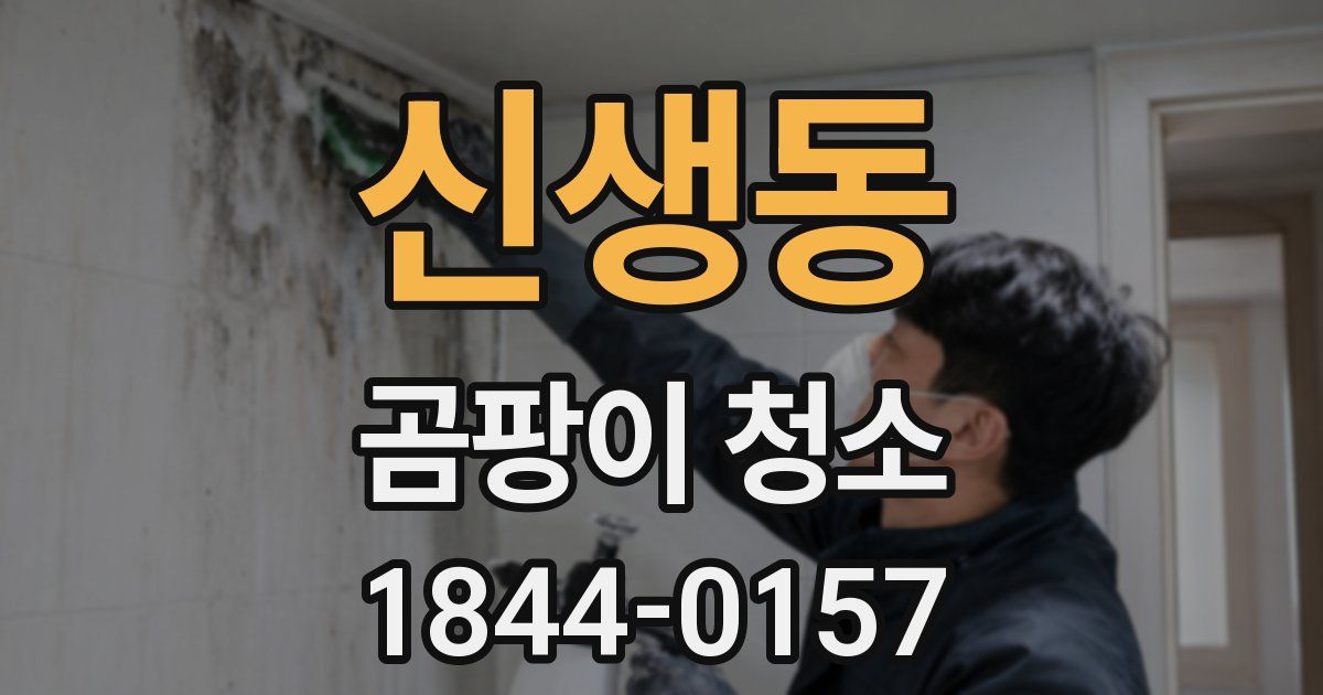 신생동 곰팡이 청소