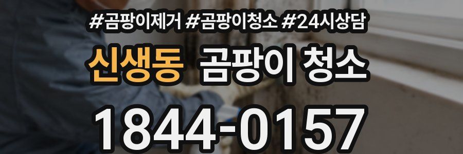 신생동 곰팡이 청소