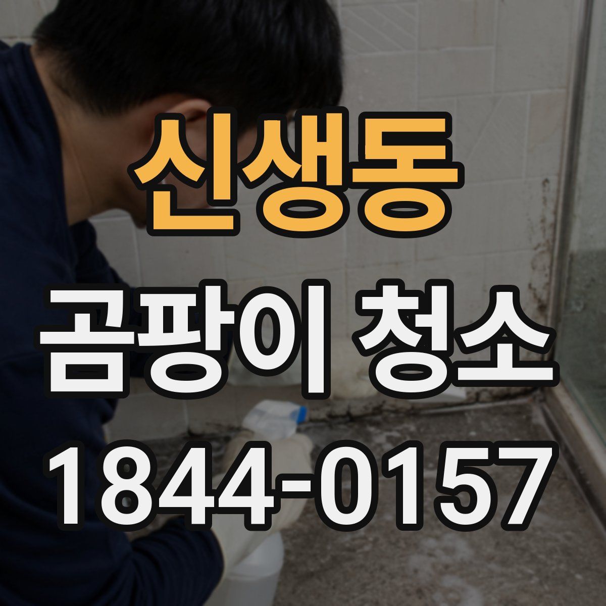 신생동 곰팡이 청소