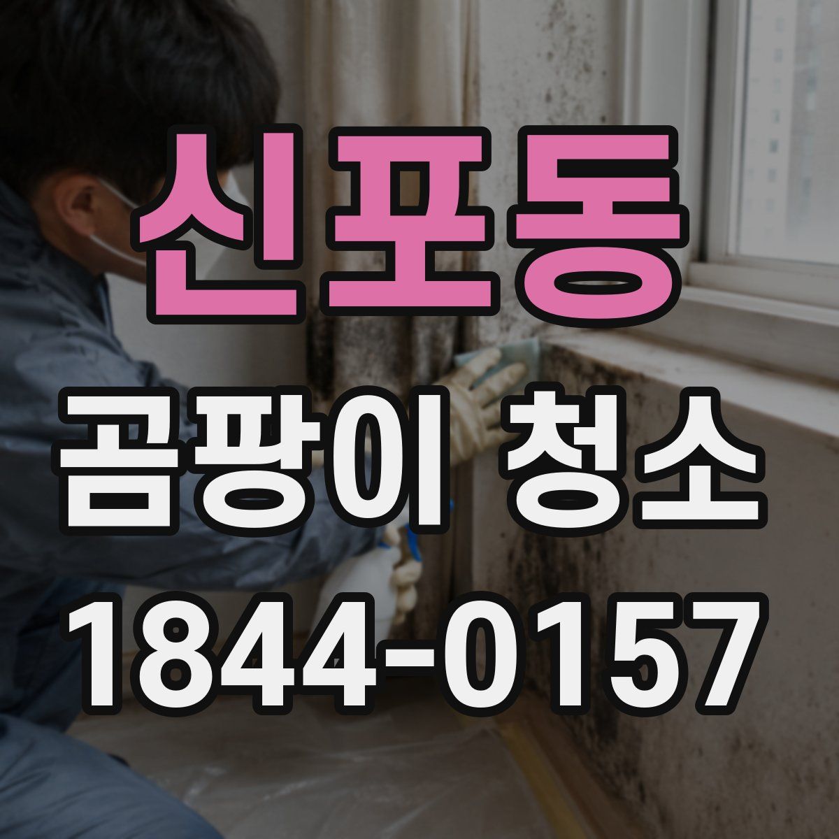 신포동 곰팡이 청소